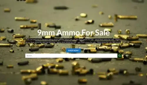 Is 9mm-ammoforsale.com a scam or legit?