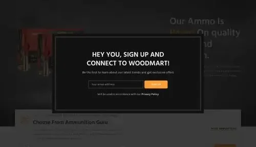 Is Ammunitionsguru.com a scam or legit?