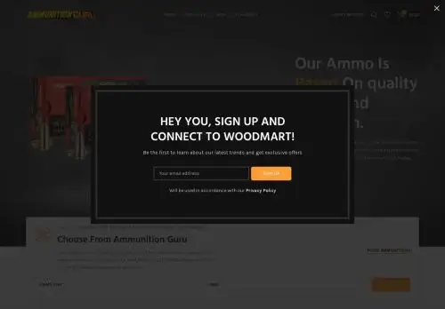 Ammunitionsguru.com Screenshot