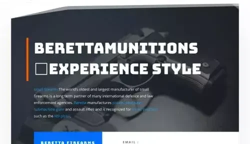 Is Berettamunitions.com a scam or legit?