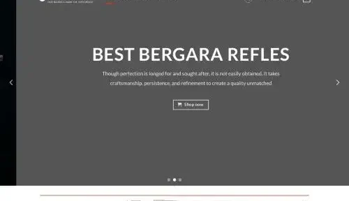 Is Bergaragunsale.com a scam or legit?
