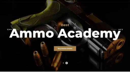 Is Bestammoacademy.com a scam or legit?