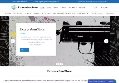 Expressgunstore.com Screenshot