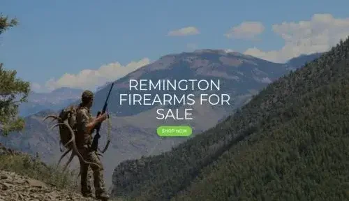 Is Remingtonamericaguns.com a scam or legit?