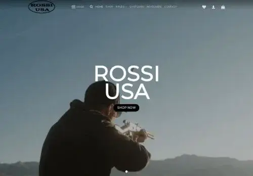 Rossigunsusa.com Screenshot