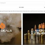 socal ammunition com