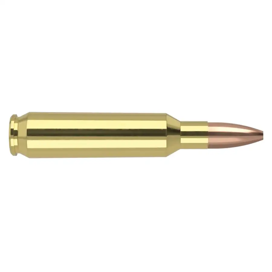 Palmettosttateasrmoryyus.shop 4 Nosler Varmageddon Varmint .22 Nosler 62 gr Ammo FBHP - 50rds - 65180